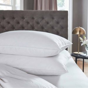 duck_feather-and-down_firm_pillow_main-crop_1